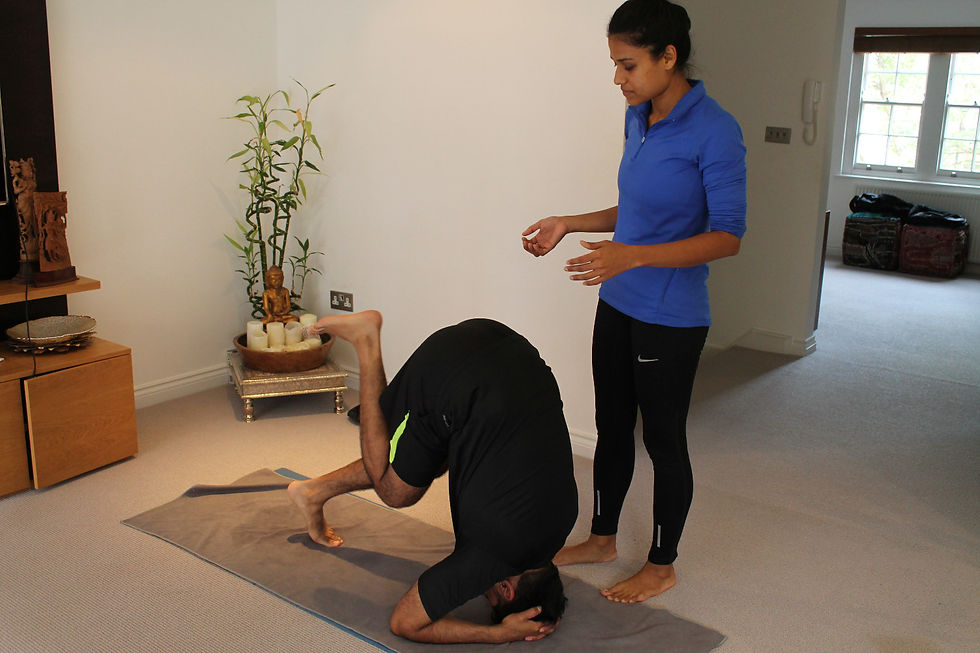 www.yogashalanw3.com