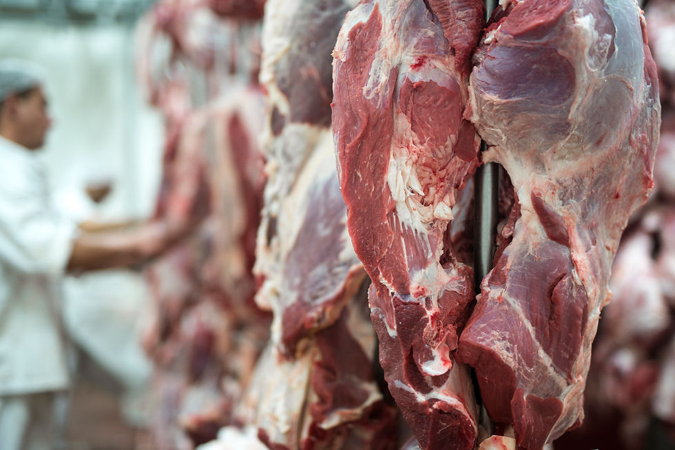 fresh red meet butchery worker working background