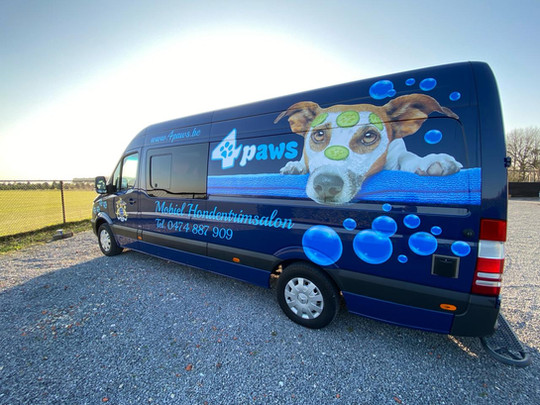 4 Paws Van Conversions