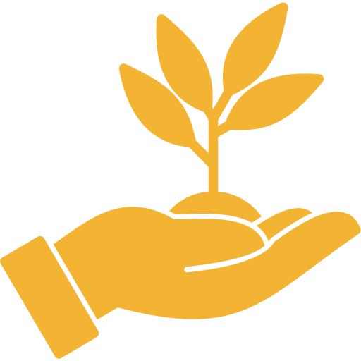 reforestation.png