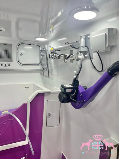 4 Paws Van Conversions