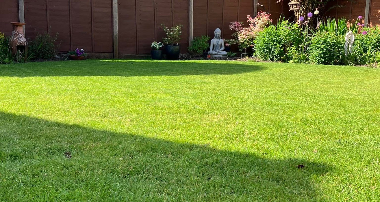 Lush green backyard garden with brown fence, bushes, and Buddha statue.