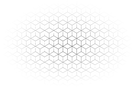grometric-pattern-back-white.png