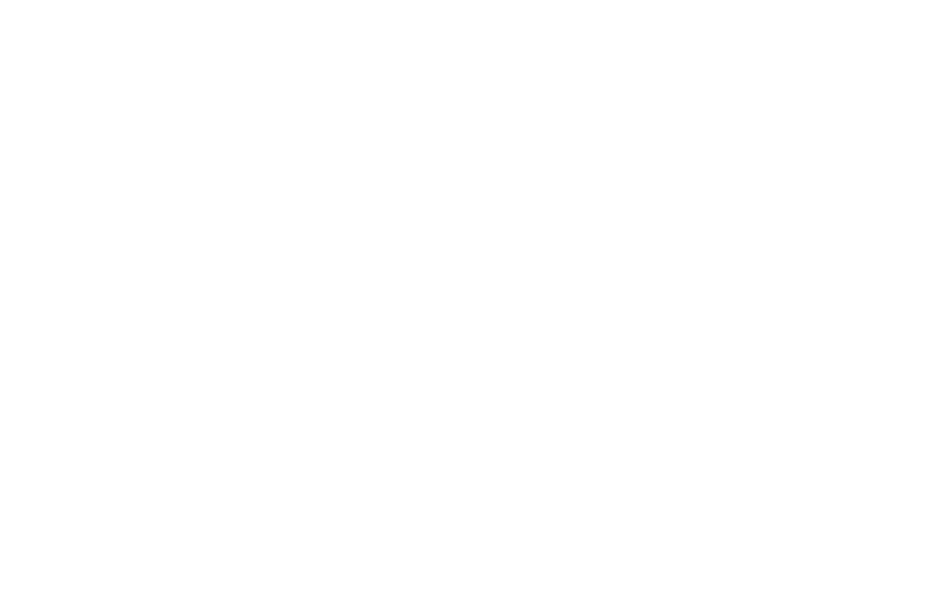 New Transparent (1)_edited.png