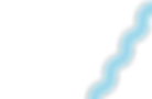 Vector.png