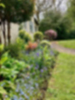 Beautiful Flowers In Garden
