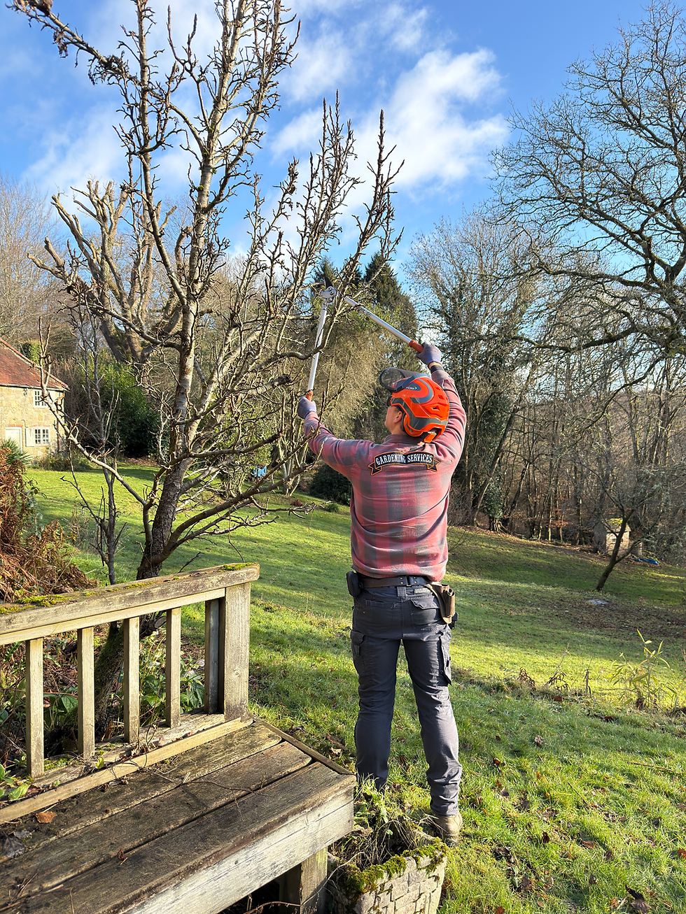 Managed Retail Parks