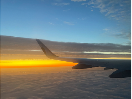 From Dawn to Dusk: Capturing the Changing Light