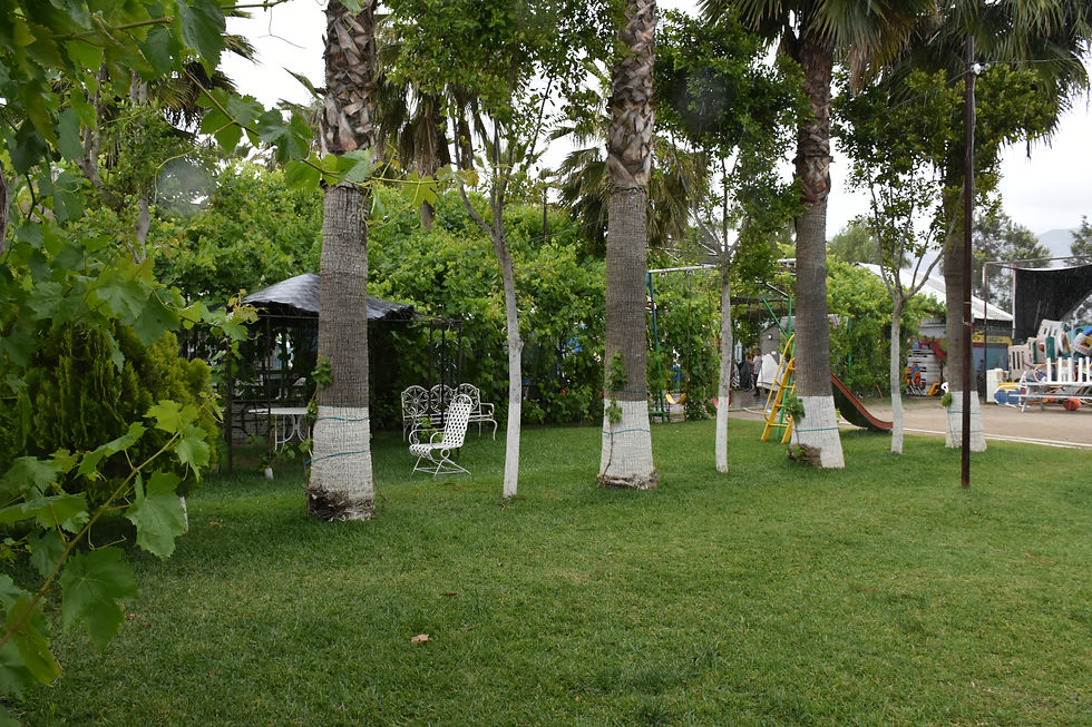 zona camping