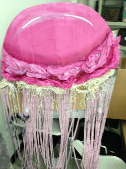 Amok2014Jellyfish