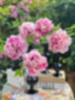 Thumbnail: Feng Huo Tai Rockii Tree Peony (烽火台)