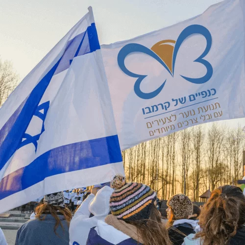 כנפיים.webp