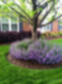 Business Lawn Care