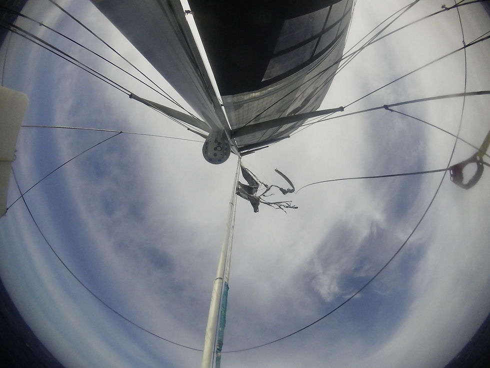 Last part of the jib © Foresight Natural Energy #Vendée Globe