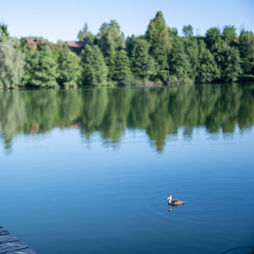 Sommerpause beayogi, schöne ferien, yoga studio baar zug, schamansimus retreats, ausbildun