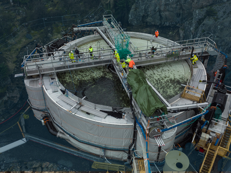 Innovativ Vertikal Trengeløsning - Fremtidens fiskeforflytting