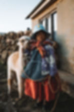 Monitoring of the "Drinking water and sanitation for small towns and rural communities in Bolivia" P