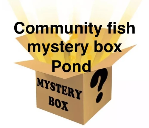 GMMTV ミステリー ボックス 2025 Pond Phuwin PondPhuwin Set to Sail