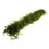 Thumbnail: Bamboo Stick with Java Moss 