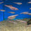Thumbnail: RAINBOW SHINER