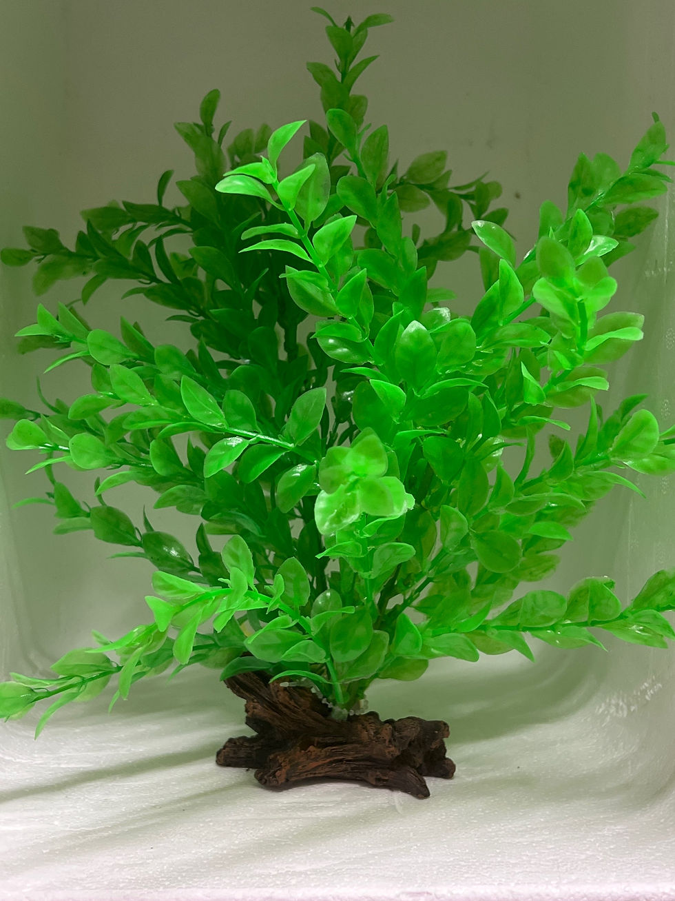 Decco Discount Aquatics Decco Discount Aquatics