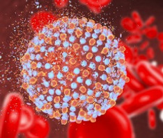 HepatitisC.jpg