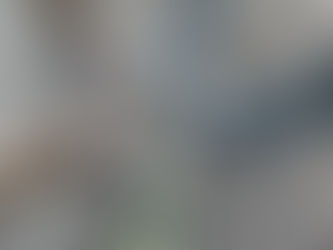 寅年は虎毛山