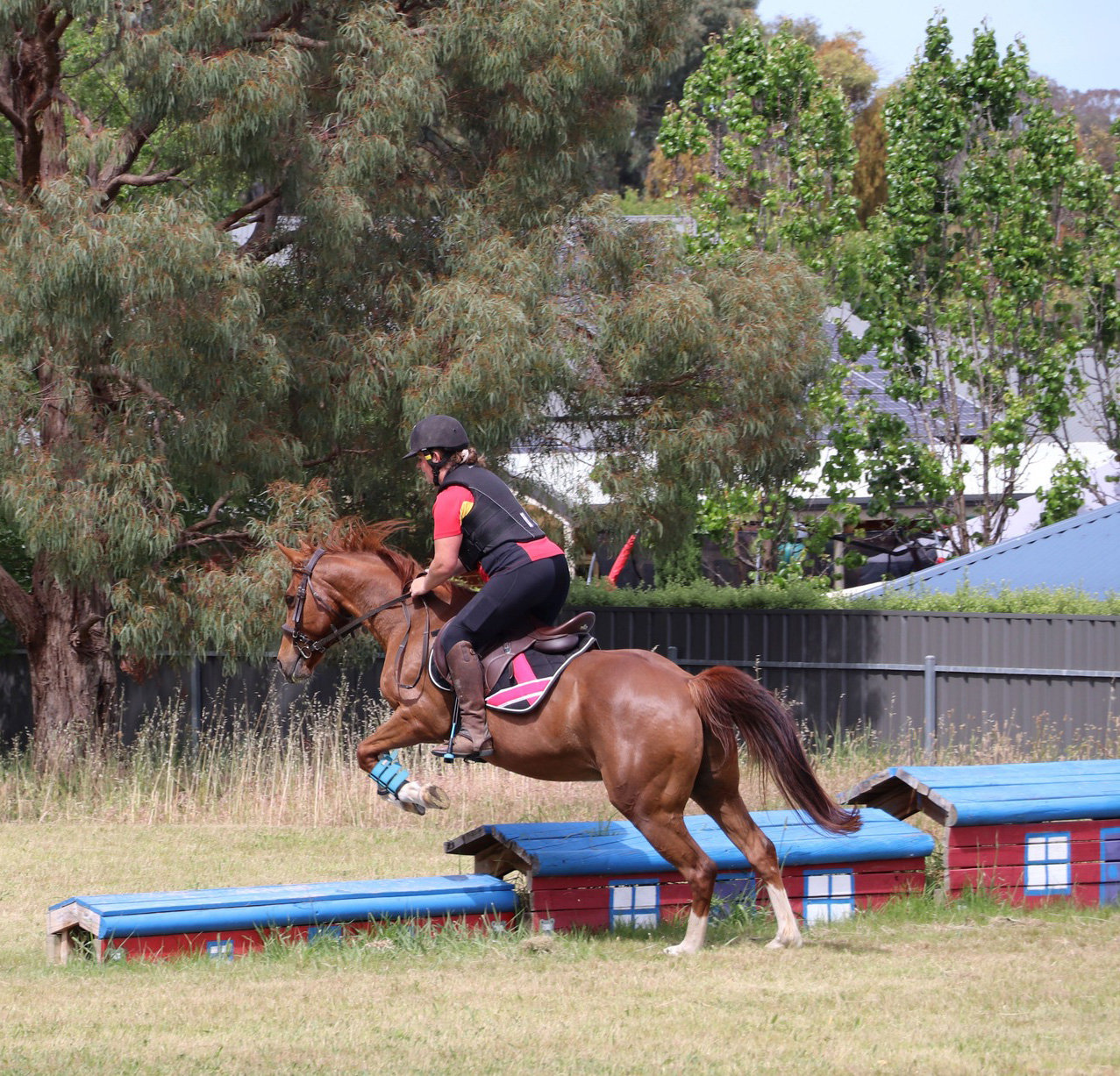 Derby Day Competition - REGISTRATION NOW CLOSED - Entries close on the ...