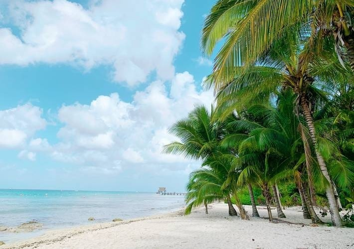 Playa tropical con arena blanca, palmeras verdes y mar azul claro. Cielo azul con nubes esponjosas. Ambiente tranquilo y sereno.
