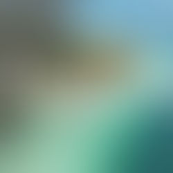 El Sabor del Caribe Mexicano te Espera en Bacalar