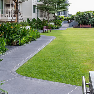 Jardin