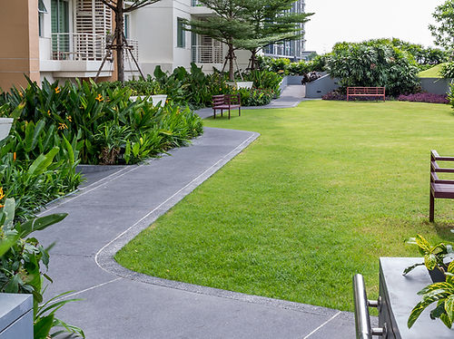 Modern Garden Pathway