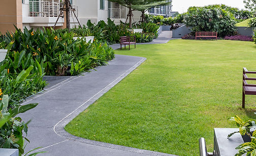 Jardin