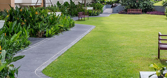 Jardin structuré avec clôture et zones délimitées à Les Pavillons-sous-Bois