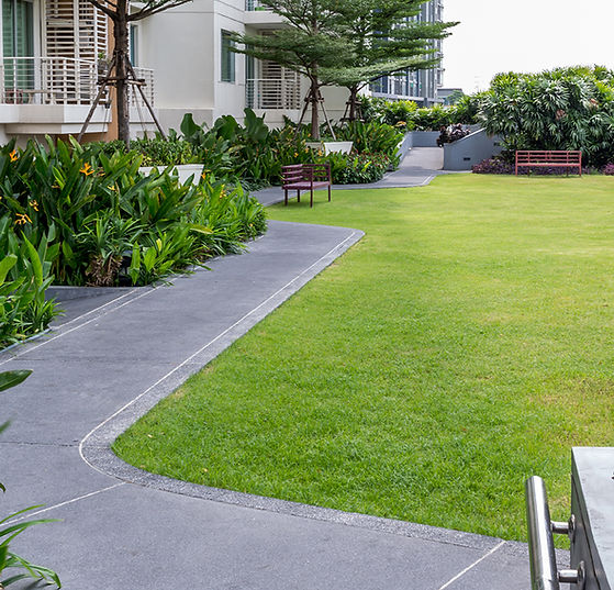 Modern Garden Pathway