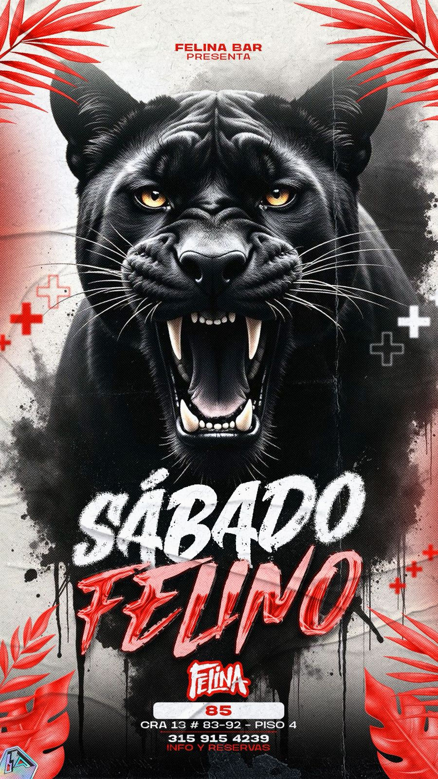 Sabado Felino - Felina 85