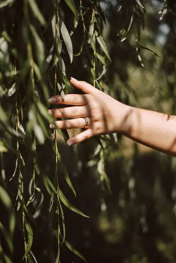 Hand zwischen grünen Zweigen als Ausdruck der Naturverbundenheit der Praxis