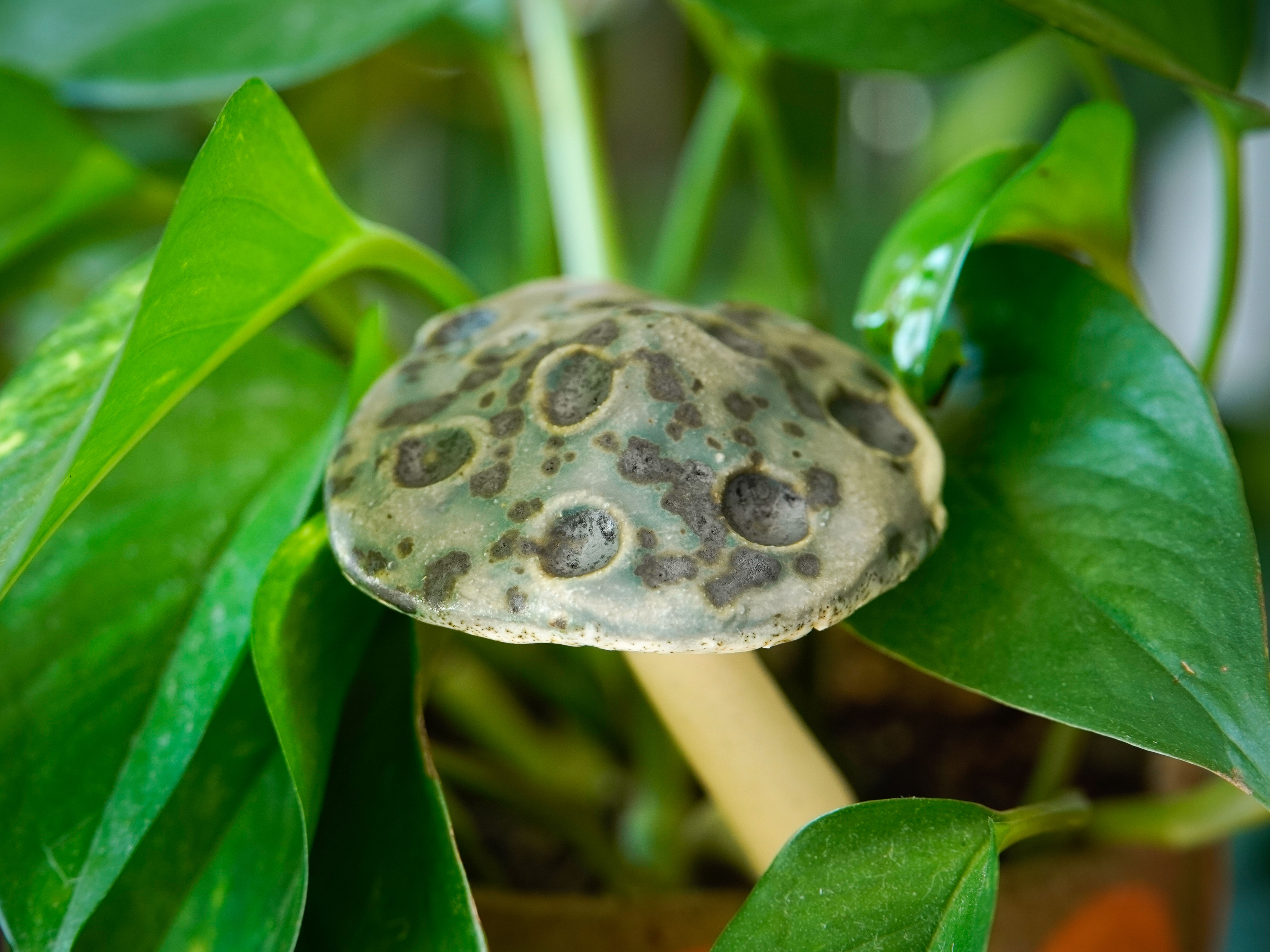 Moon Scape Ceramic Plant Mushroom