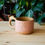 Thumbnail: Small Speckled Pink Caterpillar Mug