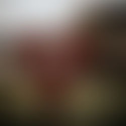 strategy before execution: what traveling taught me