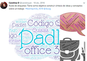 competencias digitales.png