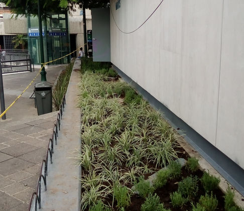 Paisajismo urbano