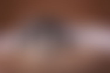 Why Pets Get Anxious When You Leave