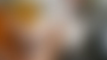 Going on Vacation? A Pet Owner’s Checklist 🐾