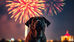 Keeping Your Pets Safe and Calm During Fireworks Celebrations
