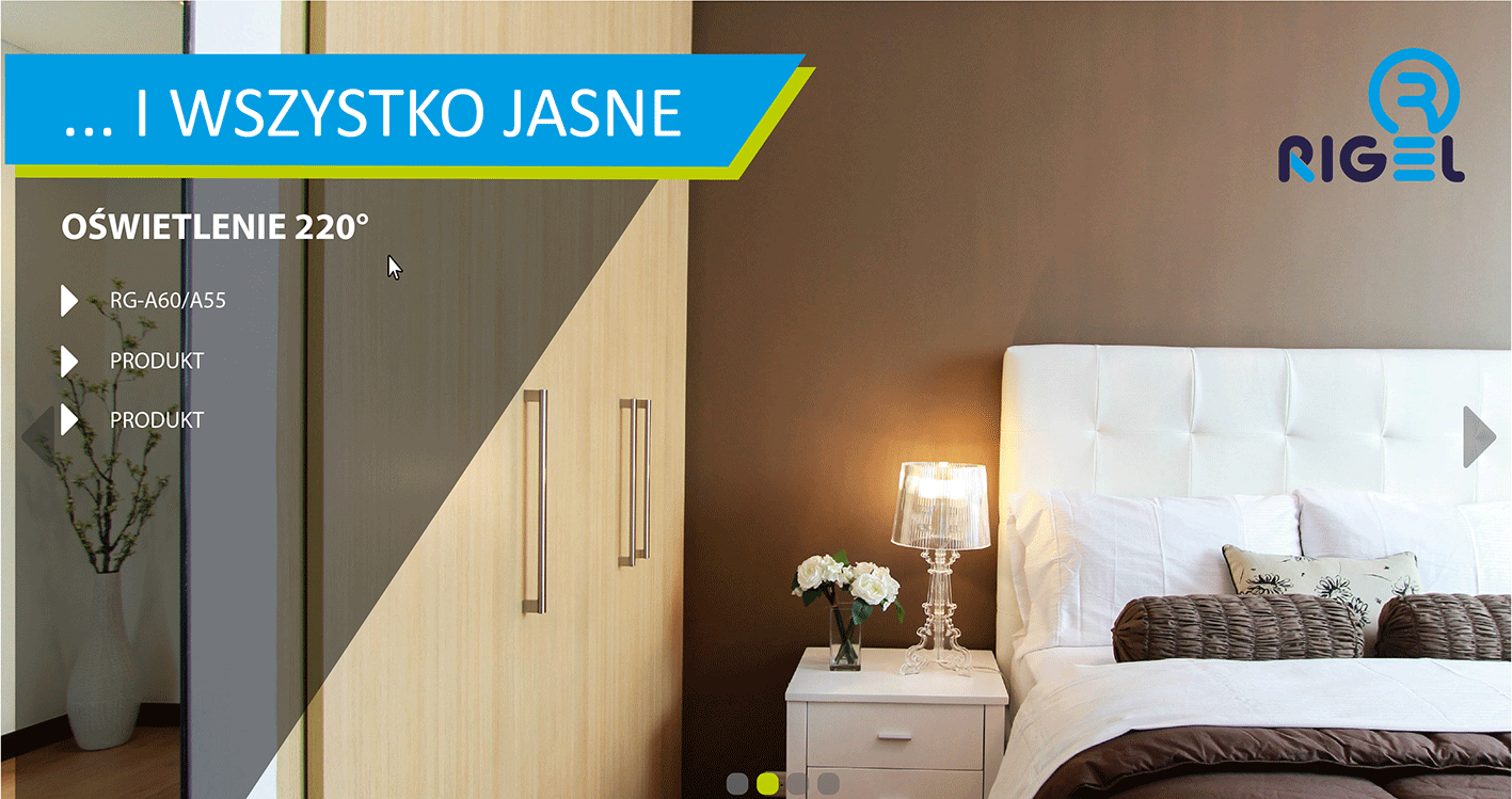 baner reklamowy rigel internetowy