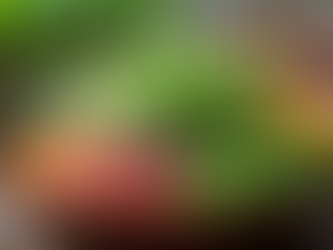 Healing Through Nutrition: Post Cancer and Autoimmune Salad with Microgreens