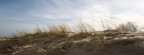 12-Dunes près de Labenne,
France,2021