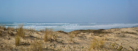 18-Plage de Seignosse,
France,2021