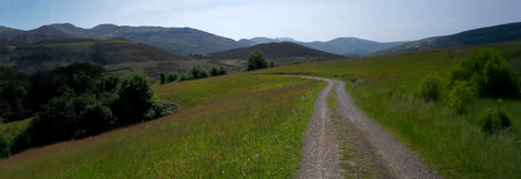 03-Près de Bidarray,
France,2022